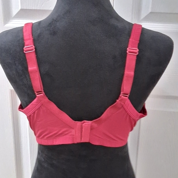 NEW Ambrielle' Blood Red Embroidered Roses Bra     Size 40D - Picture 5 of 8